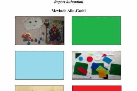 gjendja e pergjithshme ne edukim parashkollor 0-6 vjec, ne institucionet parashkollore publike ne kosove (raport hulumtimi) Mevlude Aliu-Gashi, Prishtine 2014