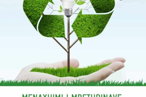 Instituti Pedagogjik i Kosovës Ballina Publikime