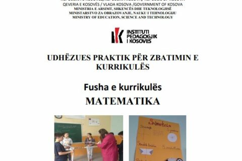Instituti Pedagogjik i Kosovës Ballina